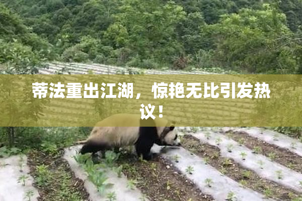 蒂法重出江湖，惊艳无比引发热议！