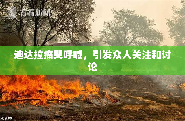 迪达拉痛哭呼喊，引发众人关注和讨论