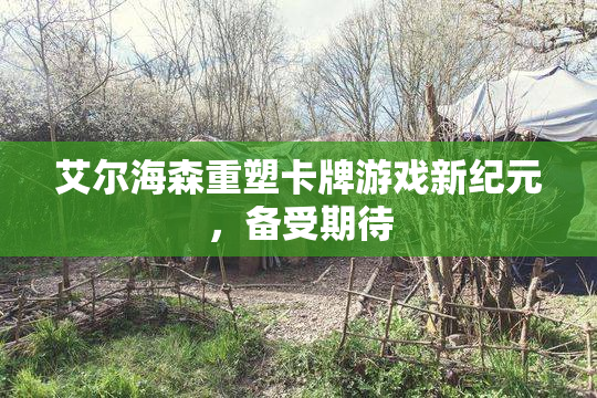 艾尔海森重塑卡牌游戏新纪元，备受期待