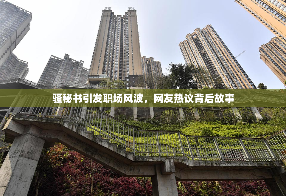 骚秘书引发职场风波，网友热议背后故事