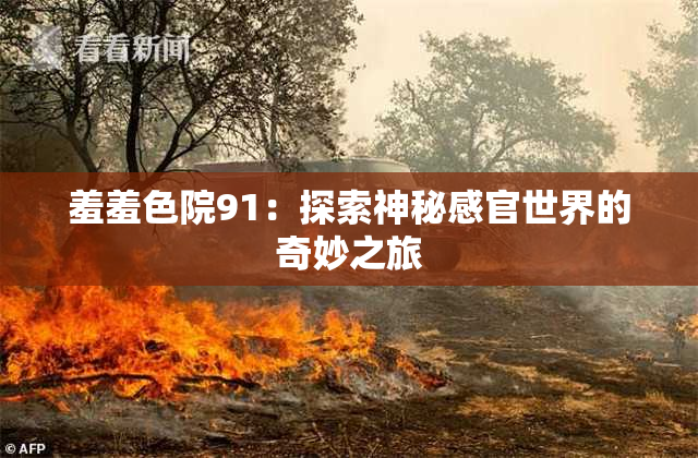 羞羞色院91：探索神秘感官世界的奇妙之旅