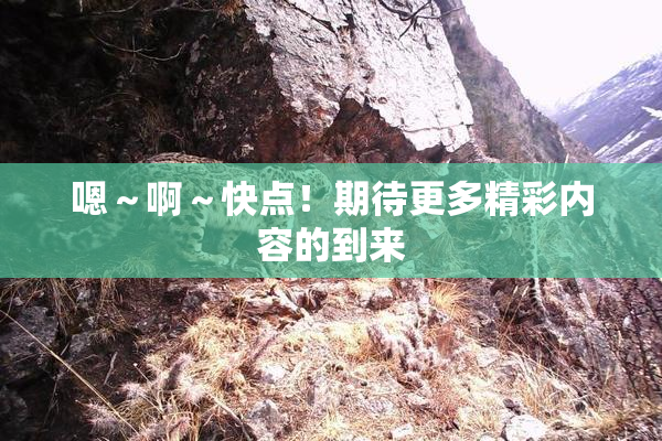 嗯～啊～快点！期待更多精彩内容的到来