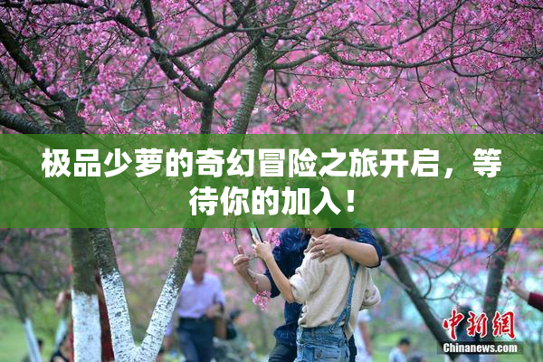 极品少萝的奇幻冒险之旅开启，等待你的加入！