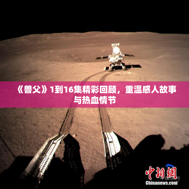 《兽父》1到16集精彩回顾，重温感人故事与热血情节