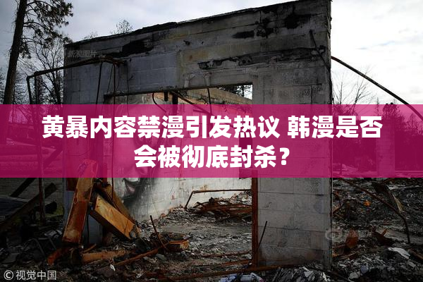 黄暴内容禁漫引发热议 韩漫是否会被彻底封杀？