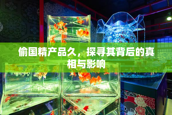 偷国精产品久，探寻其背后的真相与影响