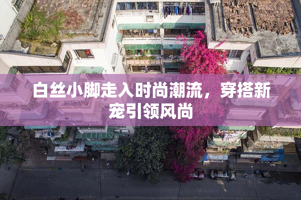 白丝小脚走入时尚潮流，穿搭新宠引领风尚