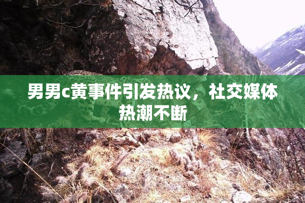 男男c黄事件引发热议，社交媒体热潮不断