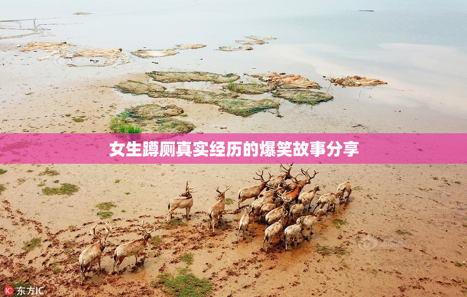 女生蹲厕真实经历的爆笑故事分享