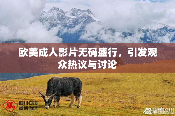 欧美成人影片无码盛行，引发观众热议与讨论