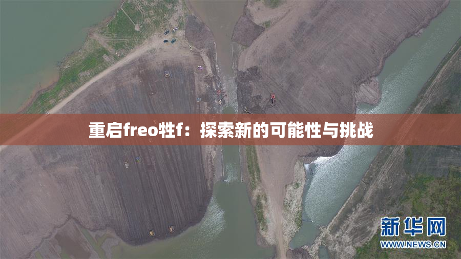 重启freo牲f：探索新的可能性与挑战