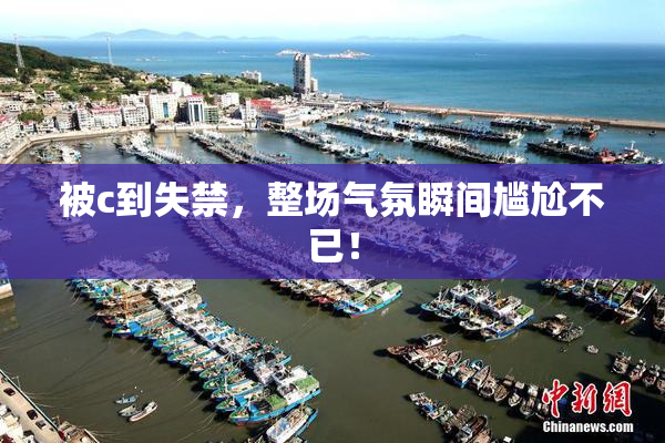 被c到失禁，整场气氛瞬间尴尬不已！