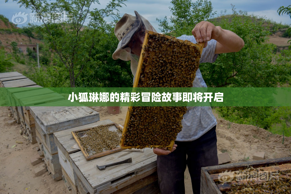 小狐琳娜的精彩冒险故事即将开启