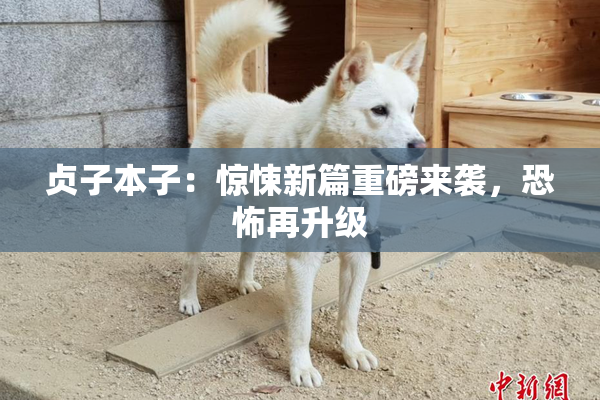 贞子本子：惊悚新篇重磅来袭，恐怖再升级