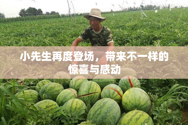 小先生再度登场，带来不一样的惊喜与感动