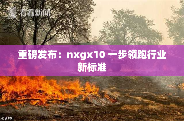 重磅发布：nxgx10 一步领跑行业新标准