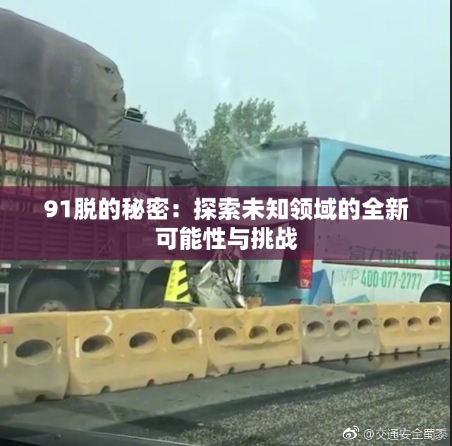 91脱的秘密：探索未知领域的全新可能性与挑战