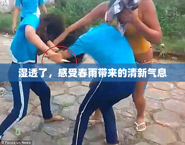 湿透了，感受春雨带来的清新气息