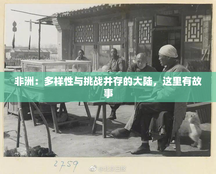 非洲：多样性与挑战并存的大陆，这里有故事