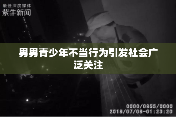 男男青少年不当行为引发社会广泛关注