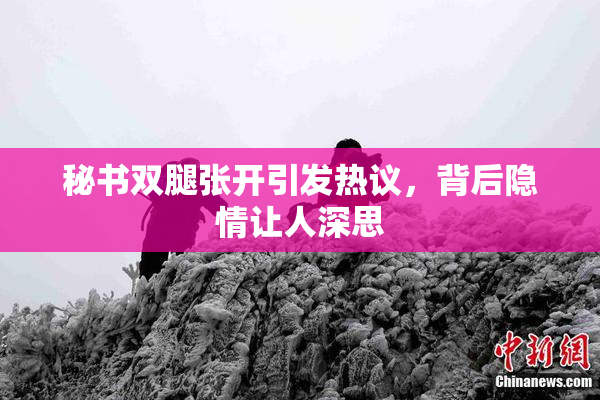 秘书双腿张开引发热议，背后隐情让人深思