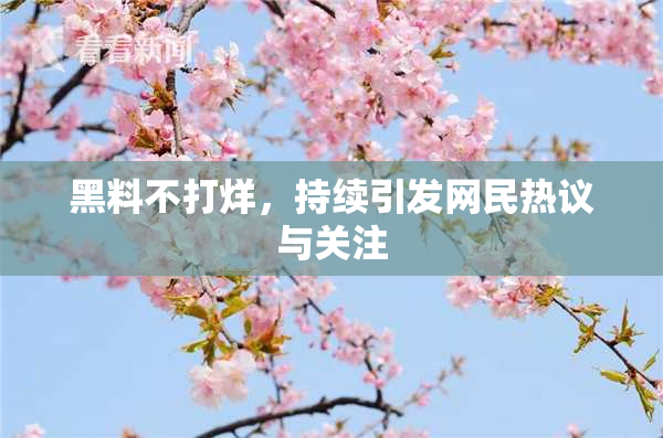 黑料不打烊，持续引发网民热议与关注