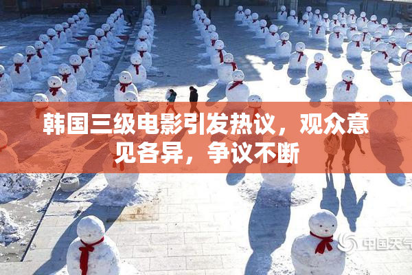 韩国三级电影引发热议，观众意见各异，争议不断