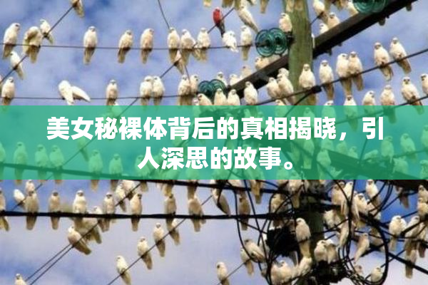 美女秘裸体背后的真相揭晓，引人深思的故事。