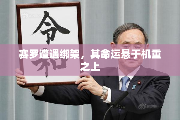 赛罗遭遇绑架，其命运悬于机重之上