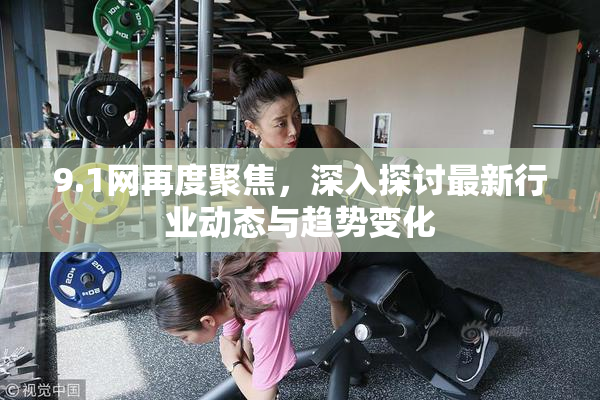 9.1网再度聚焦，深入探讨最新行业动态与趋势变化