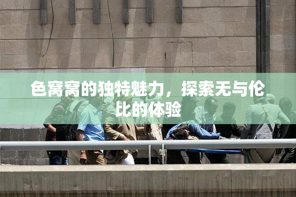 色窝窝的独特魅力，探索无与伦比的体验