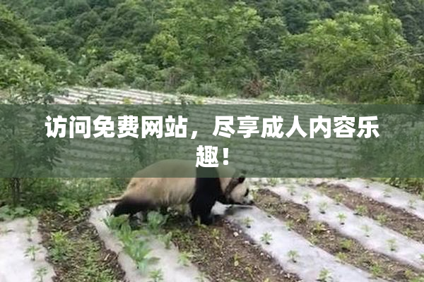 访问免费网站，尽享成人内容乐趣！
