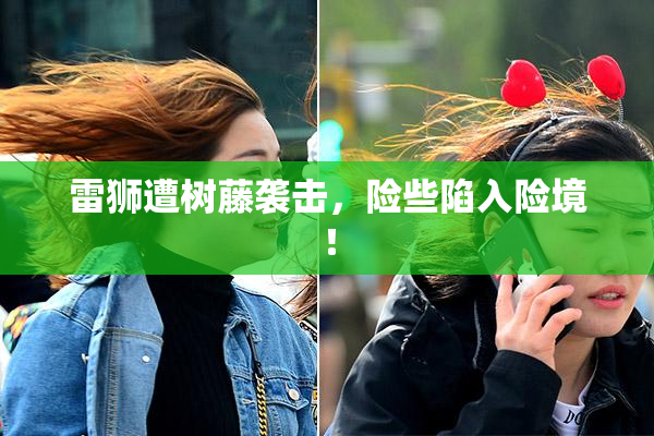 雷狮遭树藤袭击，险些陷入险境！