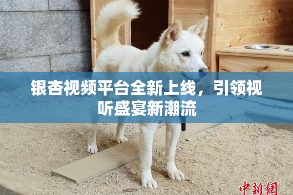 银杏视频平台全新上线，引领视听盛宴新潮流