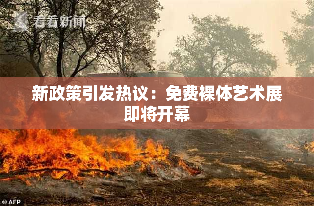 新政策引发热议：免费裸体艺术展即将开幕