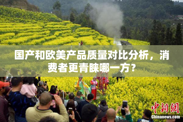 国产和欧美产品质量对比分析，消费者更青睐哪一方？