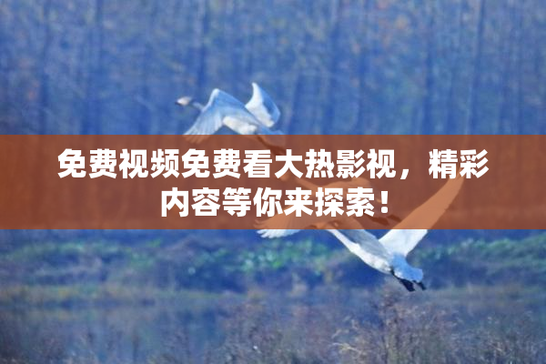 免费视频免费看大热影视，精彩内容等你来探索！