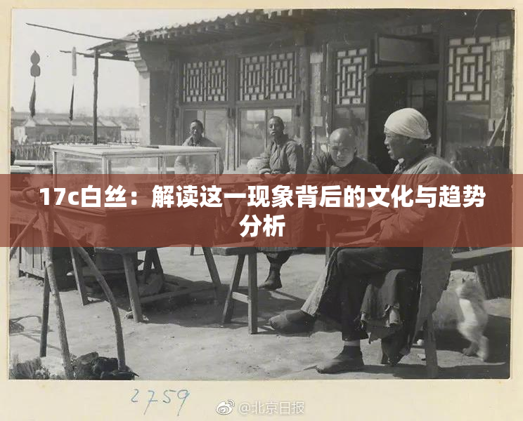 17c白丝：解读这一现象背后的文化与趋势分析