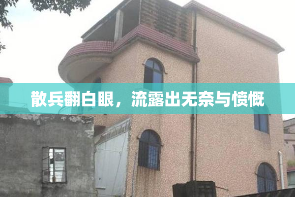 散兵翻白眼，流露出无奈与愤慨