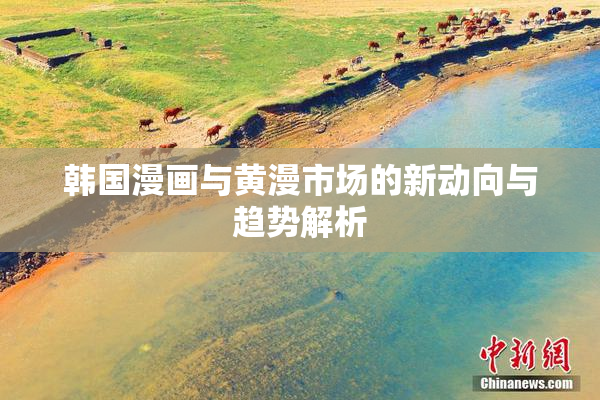韩国漫画与黄漫市场的新动向与趋势解析