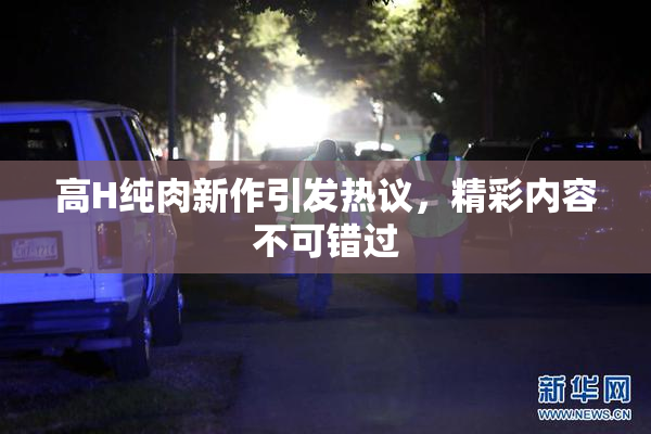 高H纯肉新作引发热议，精彩内容不可错过