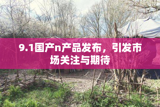 9.1国产n产品发布，引发市场关注与期待