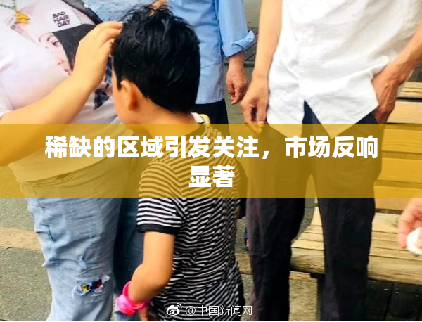 稀缺的区域引发关注，市场反响显著