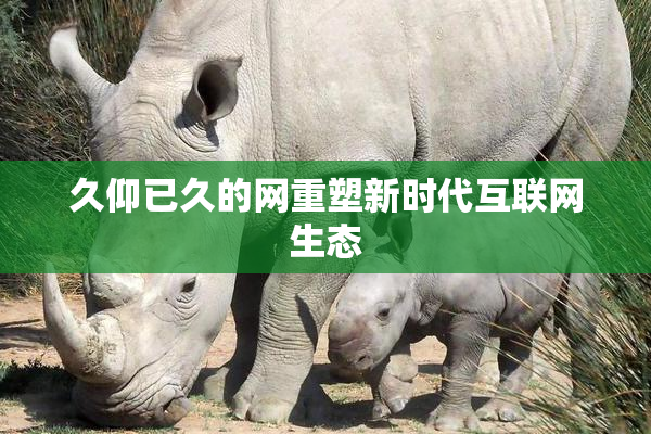久仰已久的网重塑新时代互联网生态