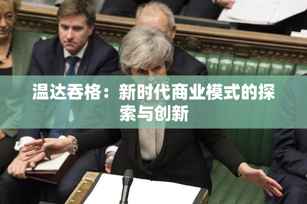 温达吞格：新时代商业模式的探索与创新