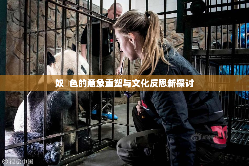 奴隷色的意象重塑与文化反思新探讨
