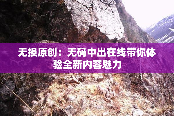 无损原创：无码中出在线带你体验全新内容魅力