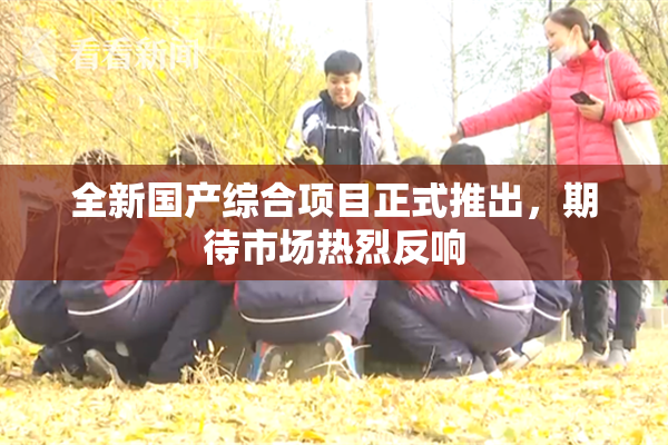 全新国产综合项目正式推出，期待市场热烈反响