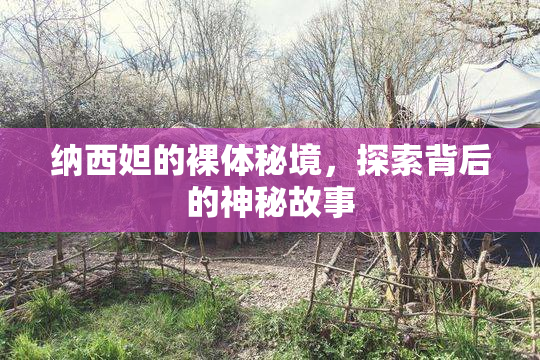 纳西妲的裸体秘境，探索背后的神秘故事