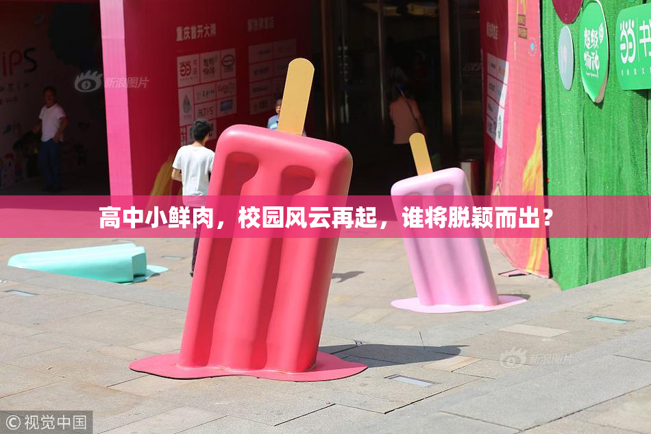 高中小鲜肉，校园风云再起，谁将脱颖而出？